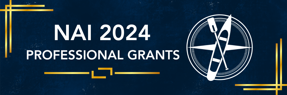 NAI 2024 Professional Grants