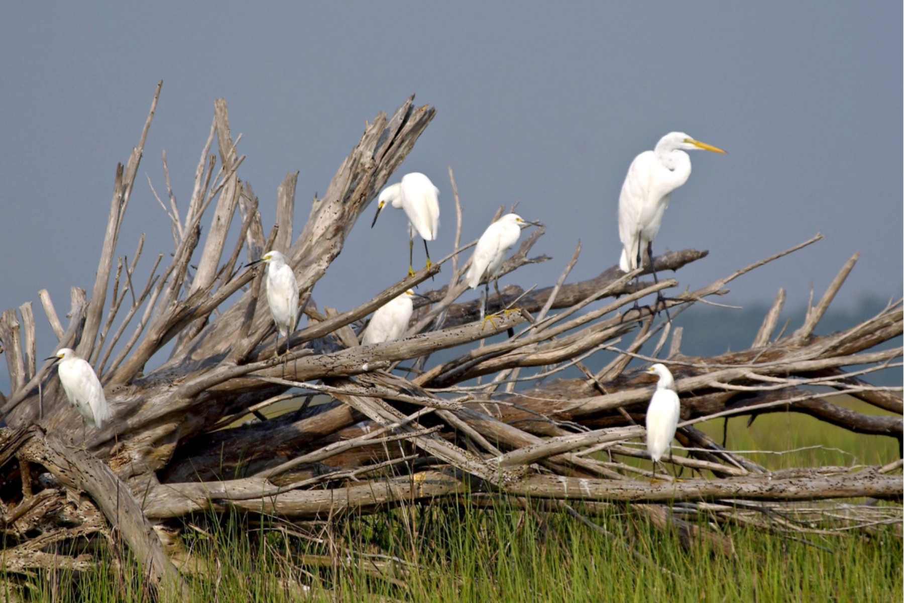 Fort George Island Cultural State Park